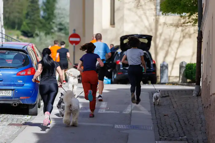 11775665613avtor-Jani-Brajkovič JB_M3003.webp-nm-tek.si